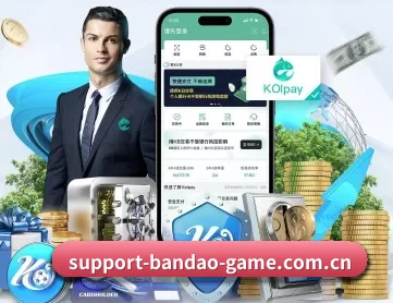 半岛体育 APP 深度功能